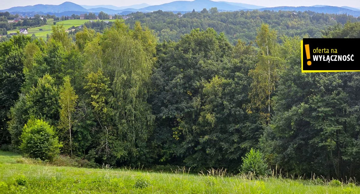 Działka 3 500,00 m², oferta nr , GH233721, Czechówka