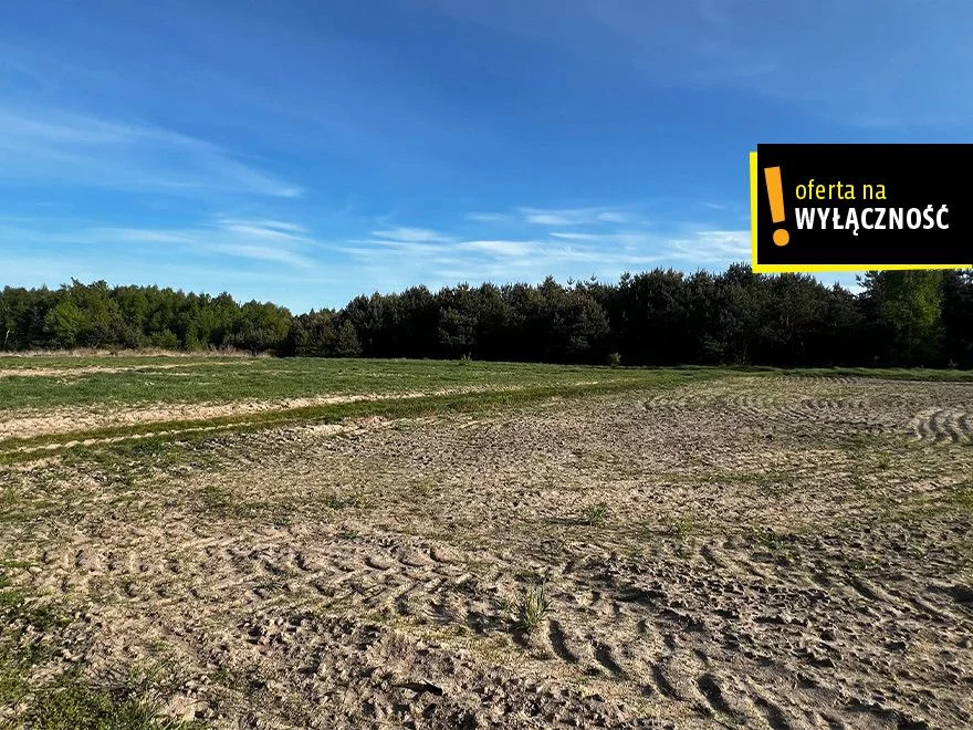 Działka 16 700,00 m², Deszno, Sprzedaż