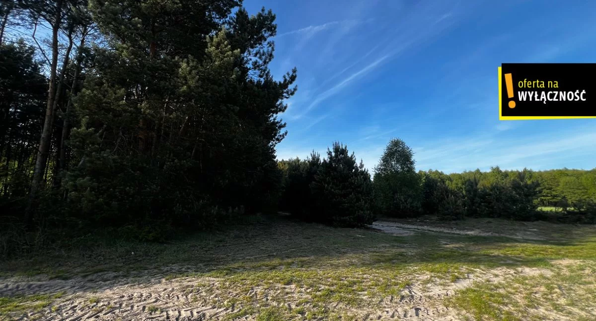 GH531159 - zdjęcie nr 1