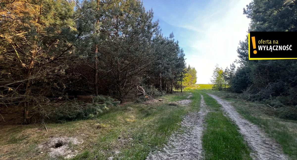 Działka 16 700,00 m², oferta nr , GH531159, Deszno