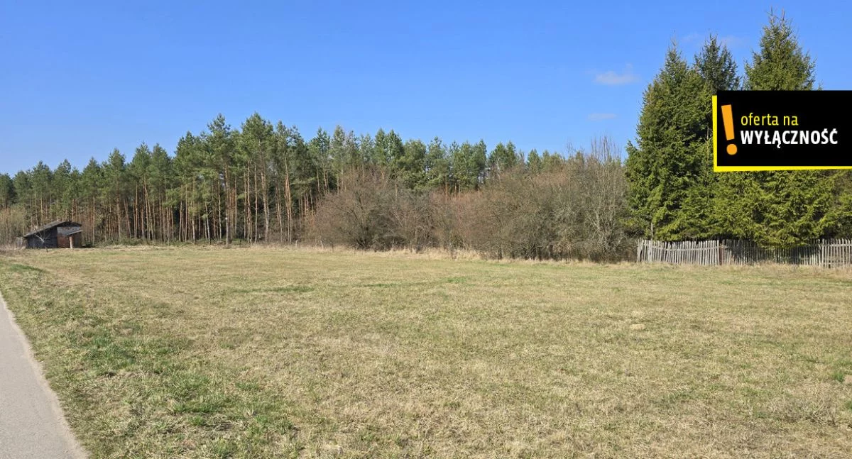 GH499994 - zdjęcie nr 1