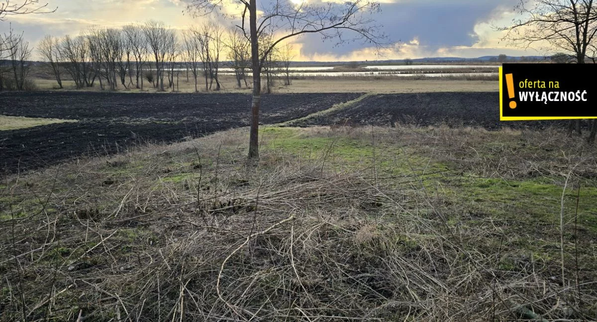 GH824180 - zdjęcie nr 3