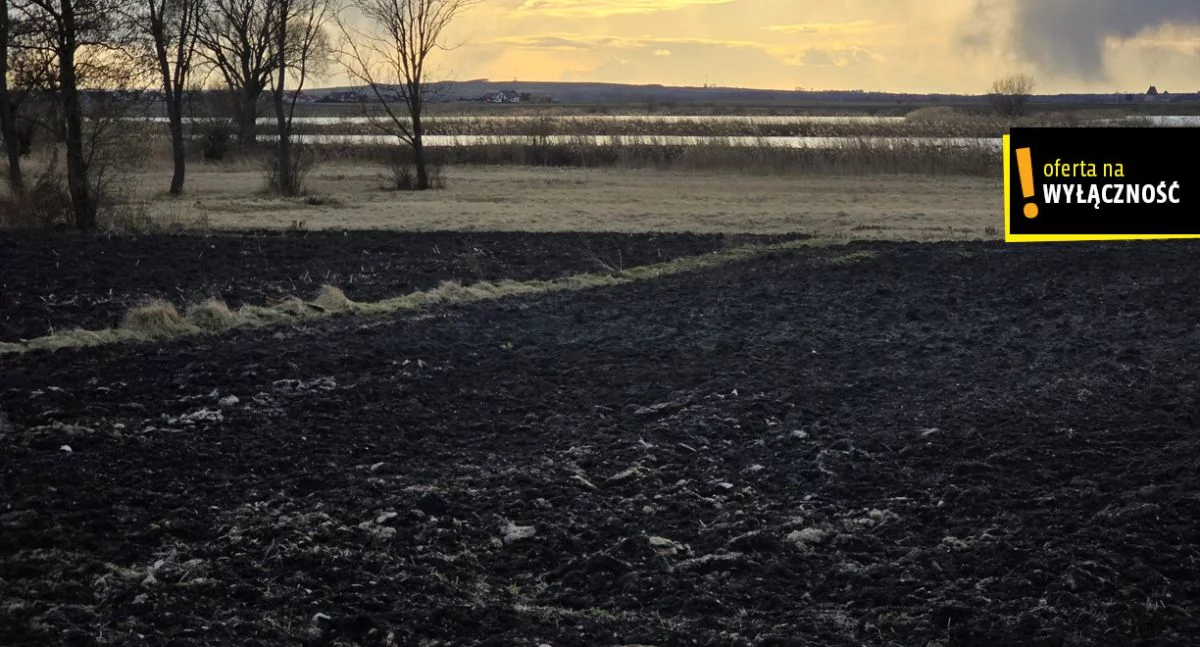 GH350672 - zdjęcie nr 4