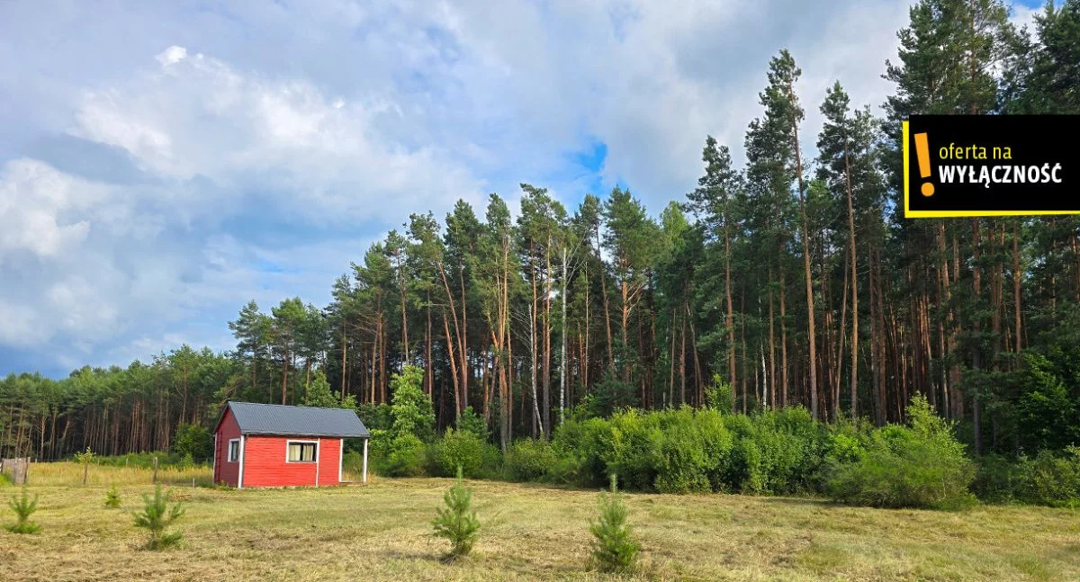 GH595486 - zdjęcie nr 2