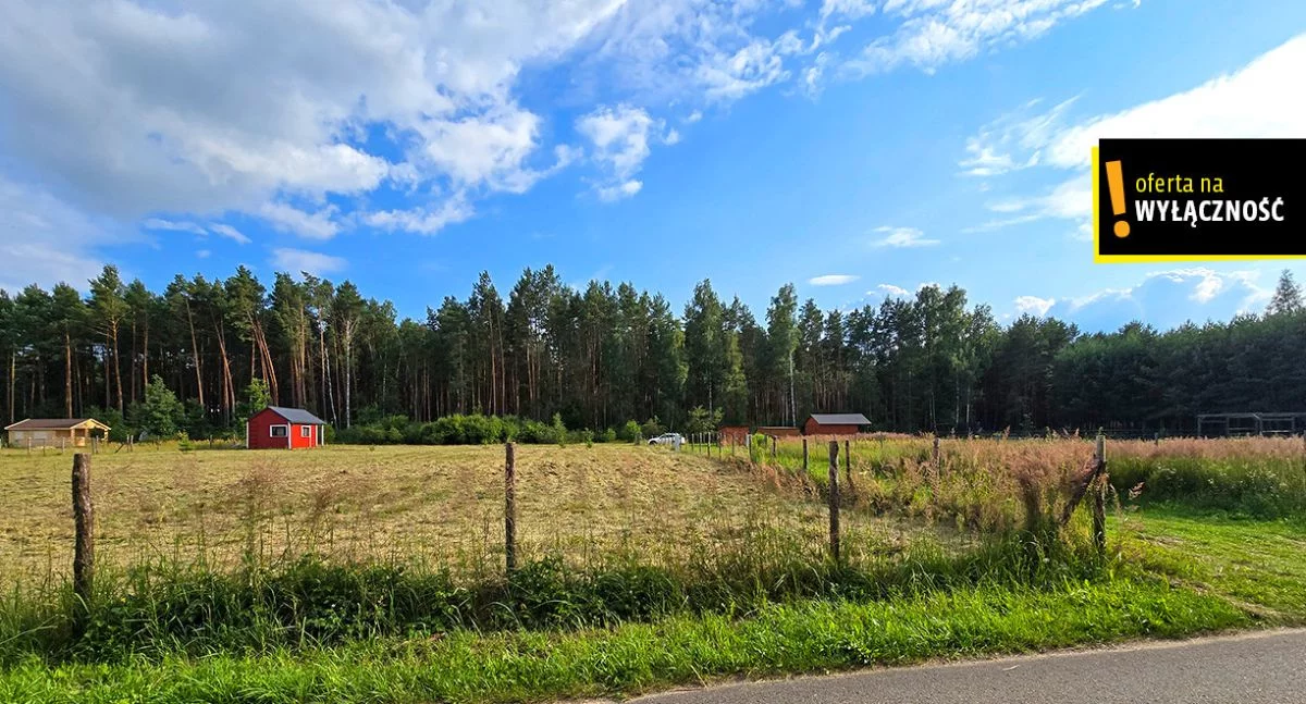 GH595486 - zdjęcie nr 3