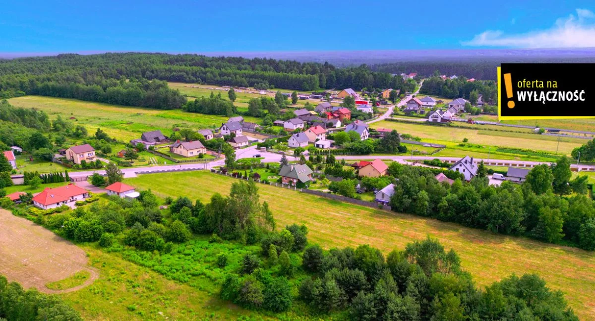 GH495803 - zdjęcie nr 1