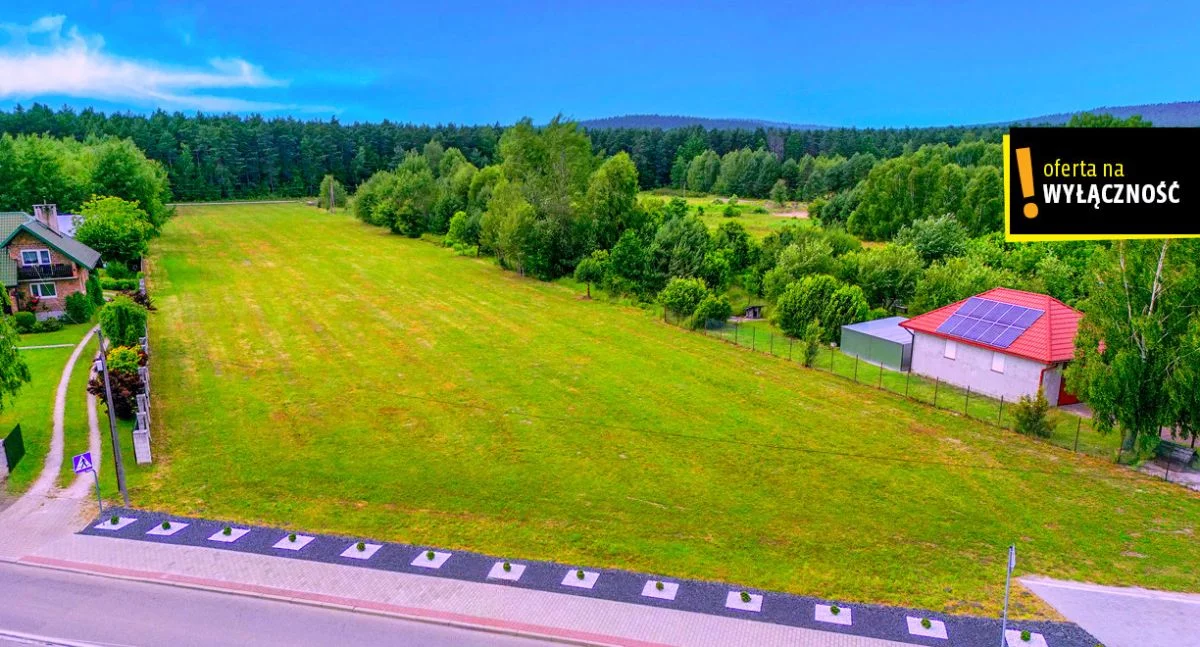 GH495803 - zdjęcie nr 4