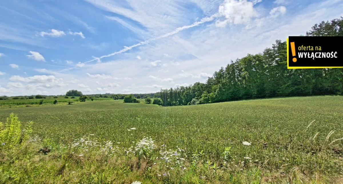 Działka 66 300,00 m², oferta nr , GH795824, Łęcze