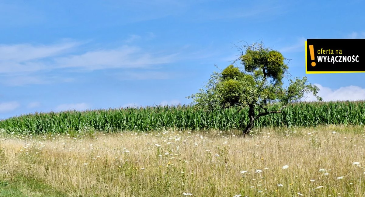 Działka 26 900,00 m², oferta nr , GH187275, Łęcze
