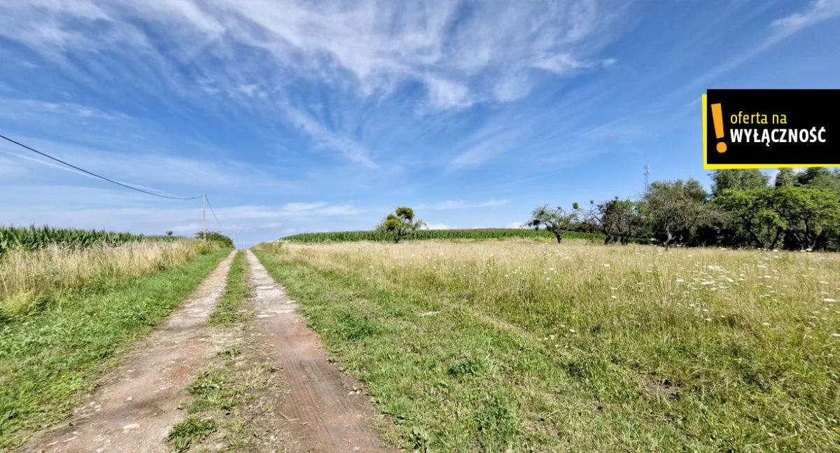 Działka 26 900,00 m², oferta nr , GH187275, Łęcze