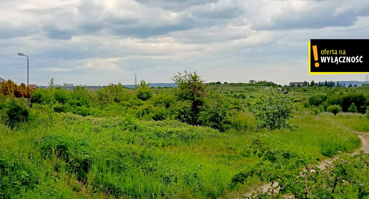 GH943567 - zdjęcie nr 3