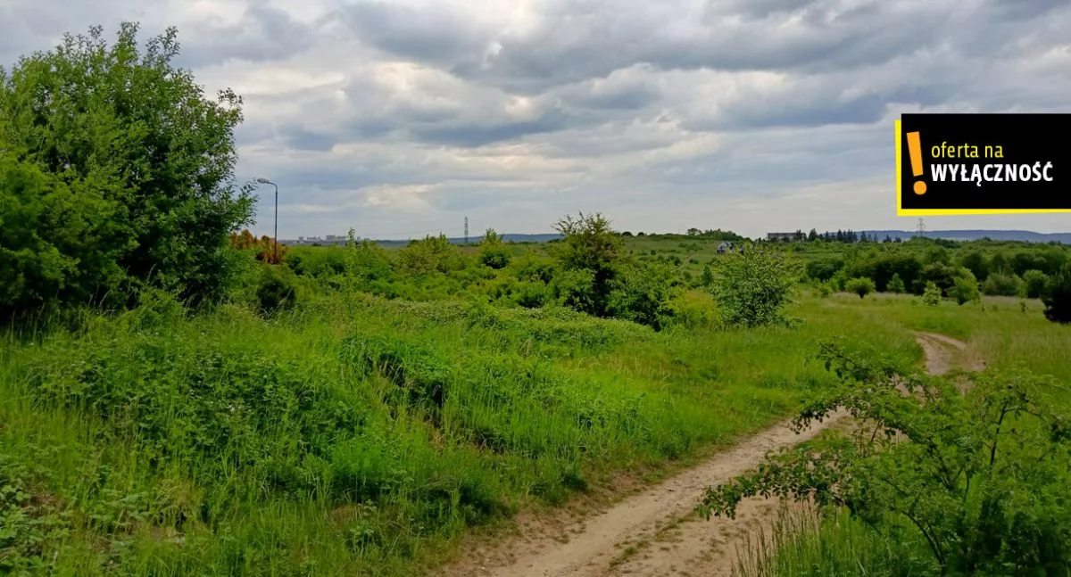 GH943567 - zdjęcie nr 4