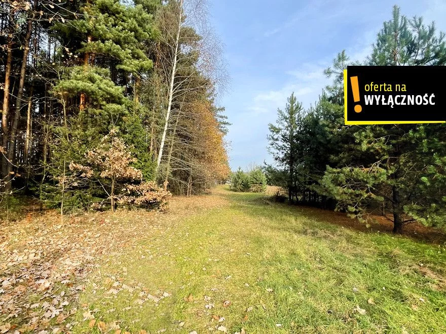 Działka 16 500,00 m², oferta nr , GH905261, Marzysz