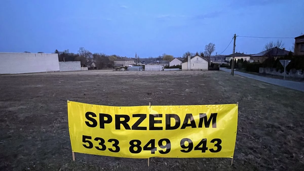 Działka 6 585,00 m², oferta nr , GH856157, Michałów Górny