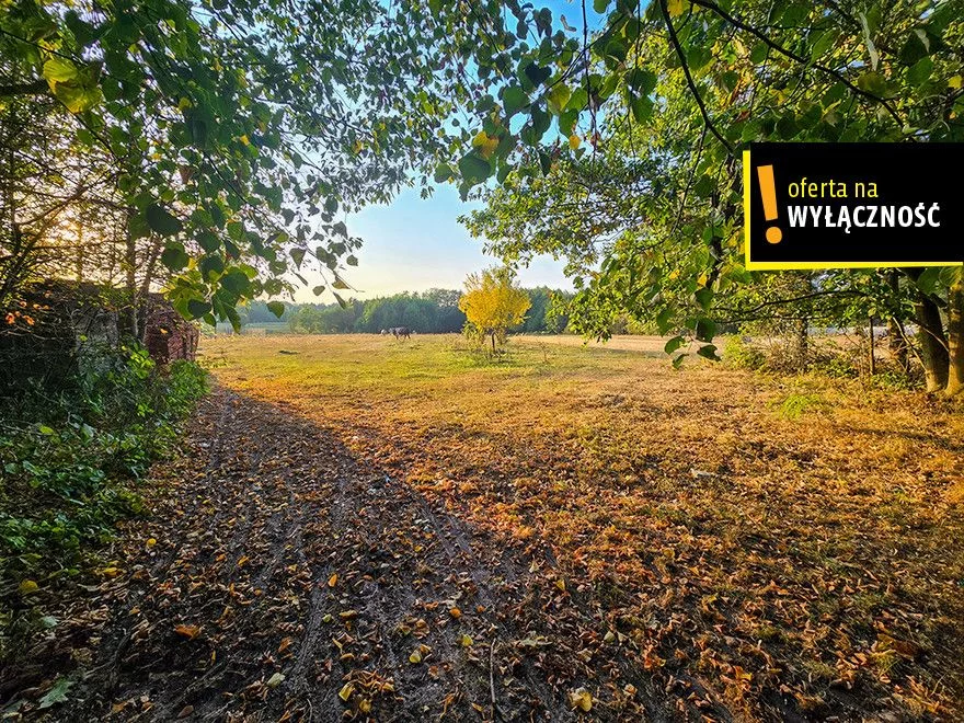Apartamenty GH183167 Niedźwiedź