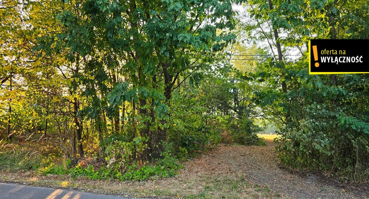 Działka 8 300,00 m², oferta nr , GH183167, Niedźwiedź