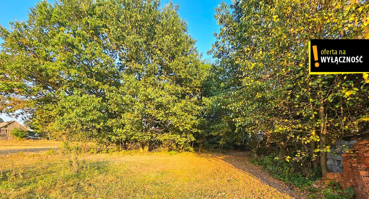 Działka 8 300,00 m², oferta nr , GH183167, Niedźwiedź