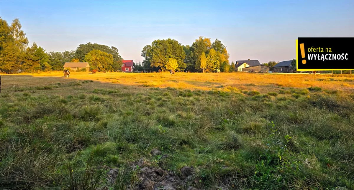 Działka 8 300,00 m², oferta nr , GH183167, Niedźwiedź