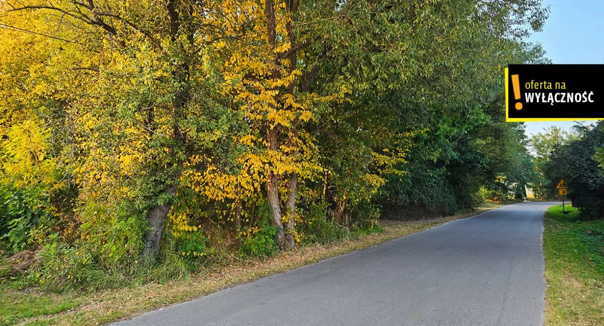 Działka 8 300,00 m², oferta nr , GH183167, Niedźwiedź