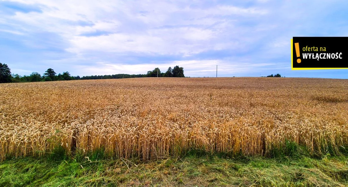 GH349466 - zdjęcie nr 2
