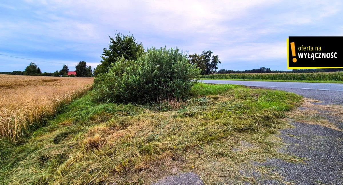 GH349466 - zdjęcie nr 4