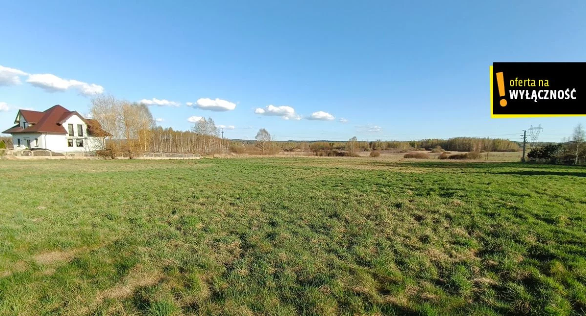 GH554692 - zdjęcie nr 2