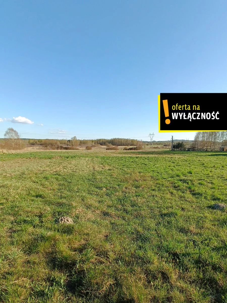 GH554692 - zdjęcie nr 3
