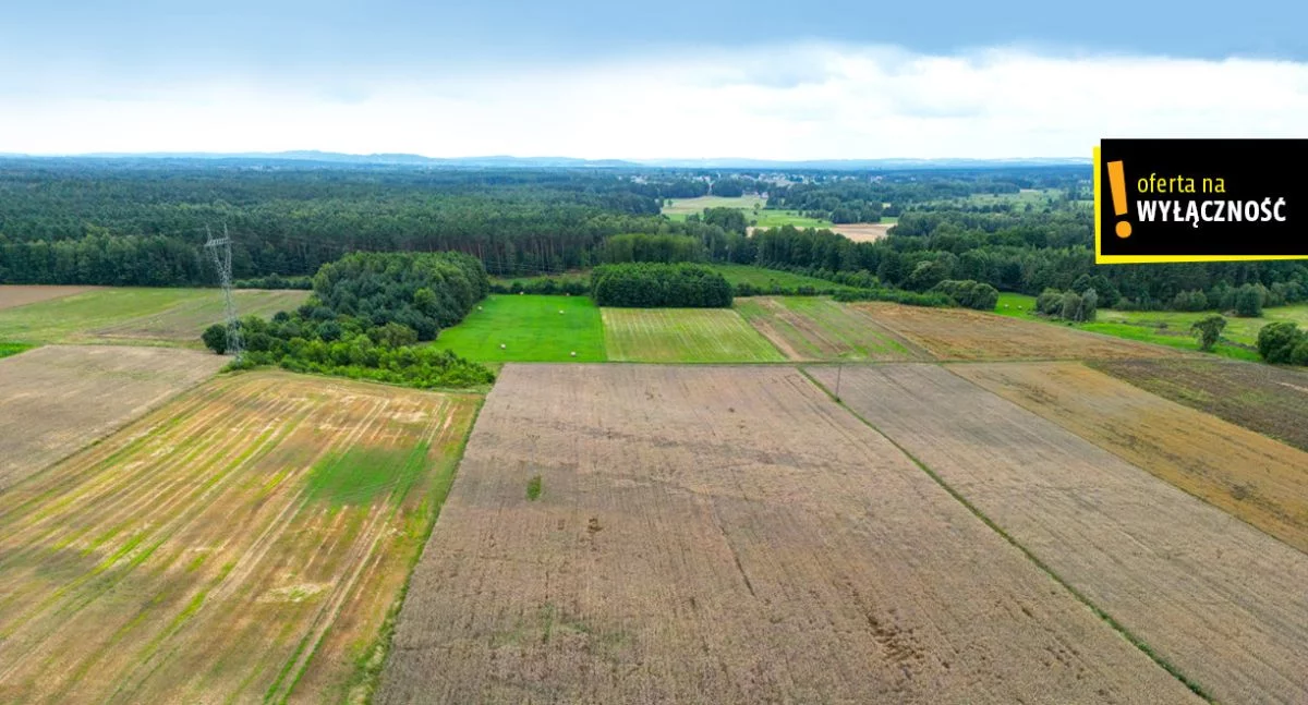 GH528449 - zdjęcie nr 0