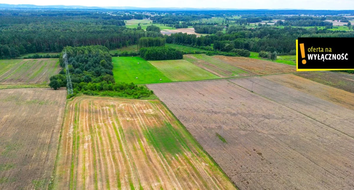 Działka 9 952,00 m², oferta nr , GH528449, Promnik
