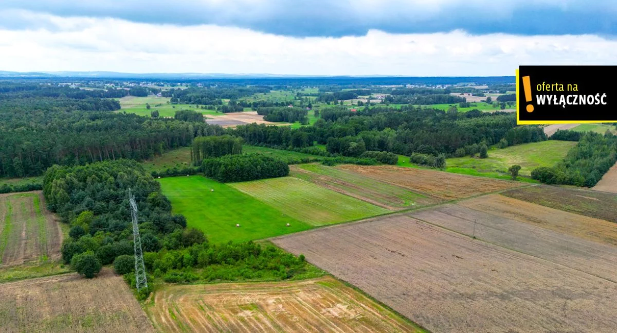 GH528449 - zdjęcie nr 3