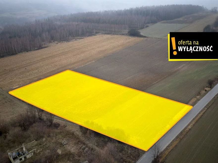 Działka 5 794,00 m², Radkowice-Kolonia, Sprzedaż