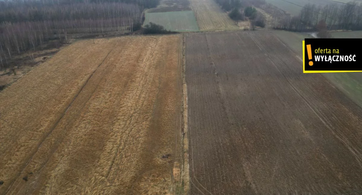Działka 5 794,00 m², oferta nr , GH171936, Radkowice-Kolonia