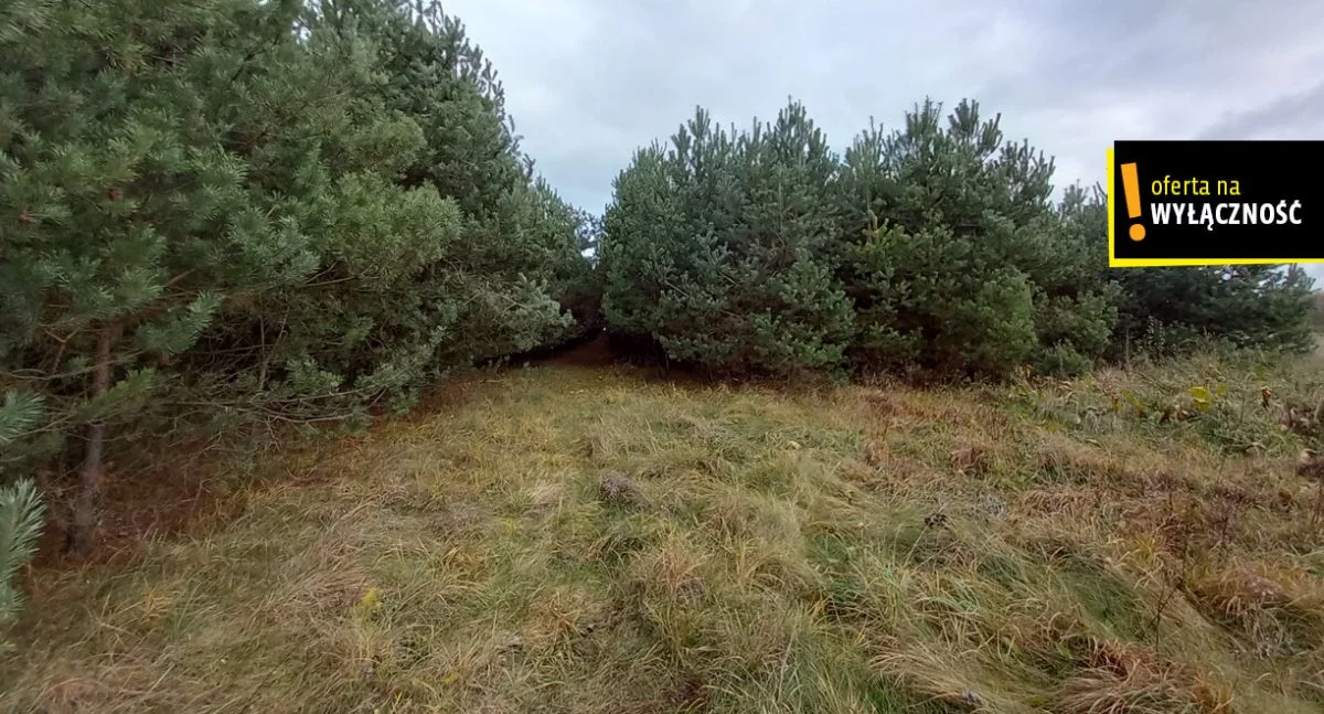 Działka 13 577,00 m², oferta nr , GH338410, Rudki