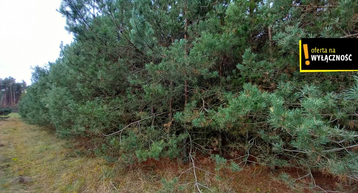 Działka 13 577,00 m², oferta nr , GH338410, Rudki