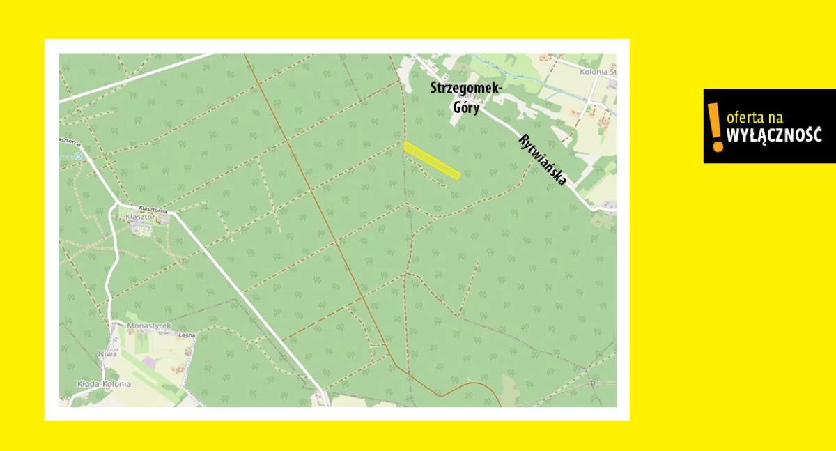 Działka 34 600,00 m², oferta nr , GH635420, Strzegomek