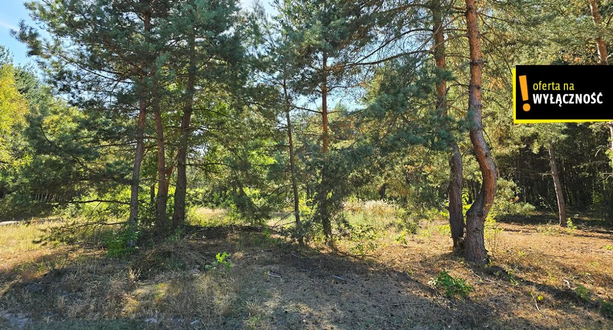 Działka 34 600,00 m², oferta nr , GH635420, Strzegomek