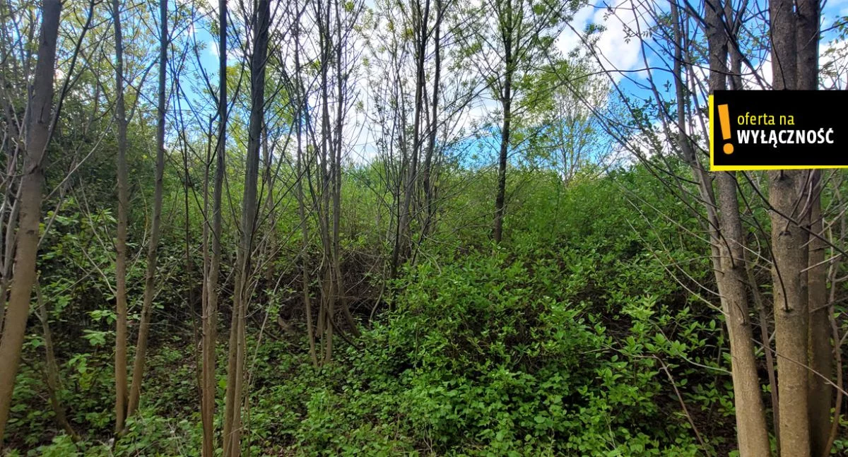 Działka 3 774,00 m², oferta nr , GH269680, Chęciny, Szkolna