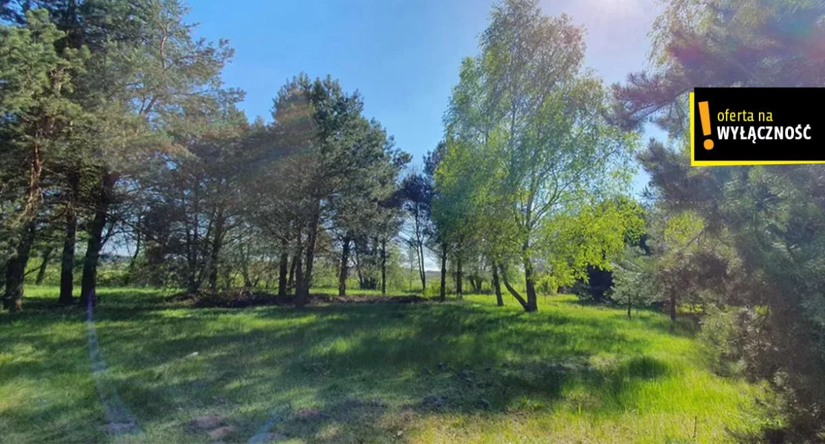 GH138512 - zdjęcie nr 1