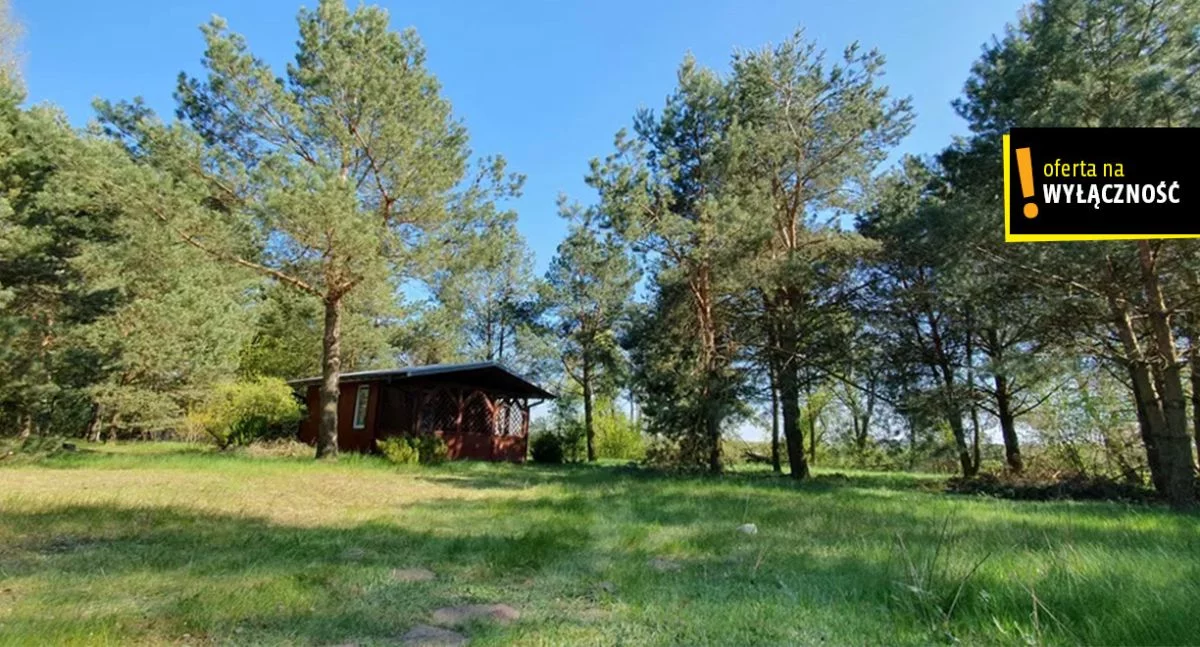 GH138512 - zdjęcie nr 4