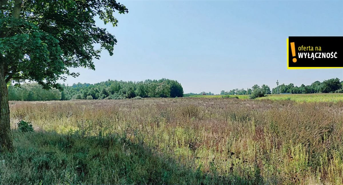 Działka 44 411,00 m², oferta nr , GH533108, Zielony Grąd
