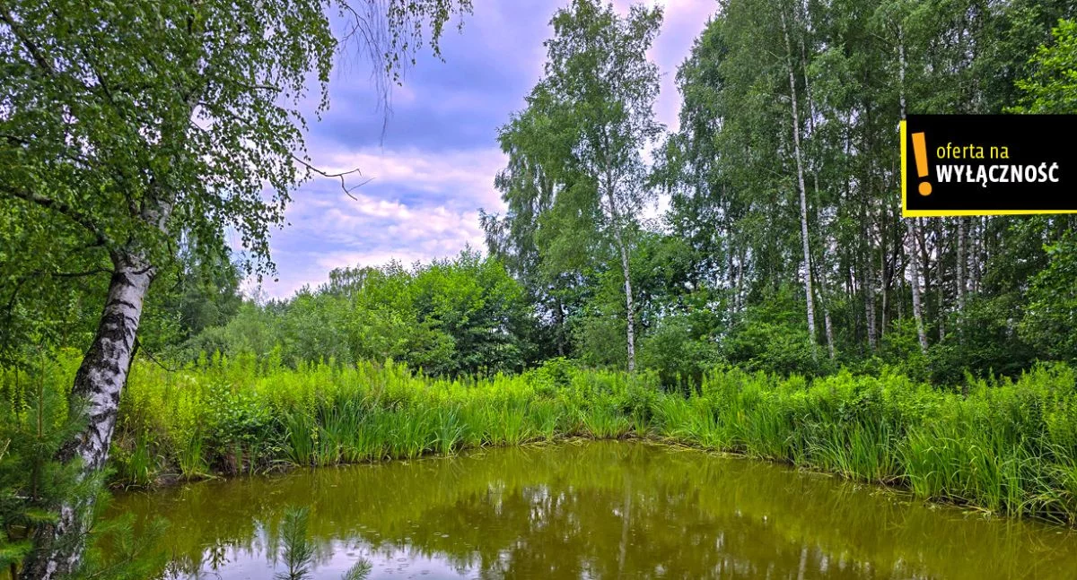 GH542887 - zdjęcie nr 1