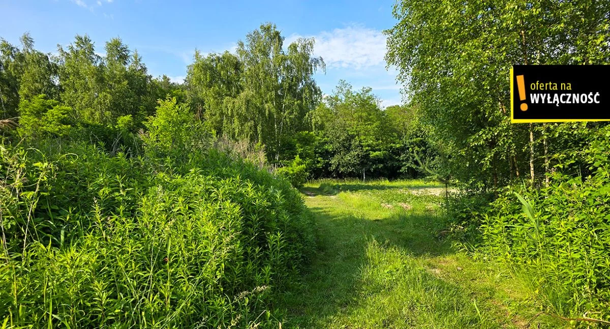 Działka 11 400,00 m², oferta nr , GH542887, Żuków