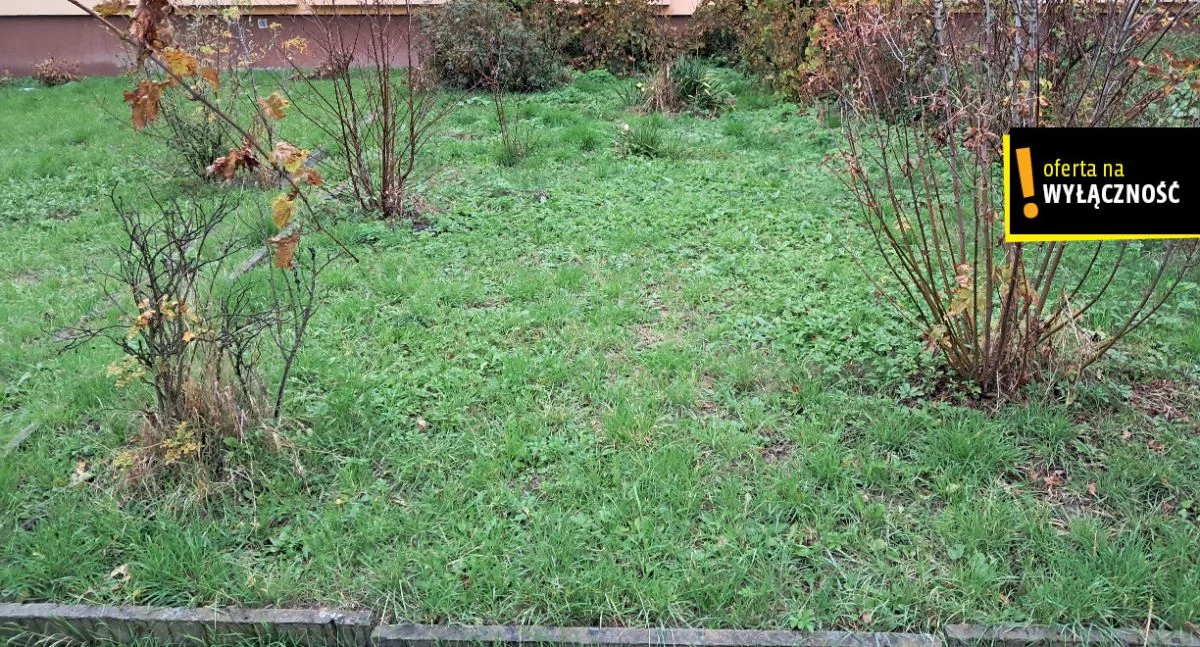 GH539605 - zdjęcie nr 4