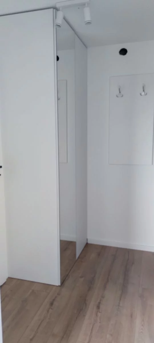 GH256721 - zdjęcie nr 3