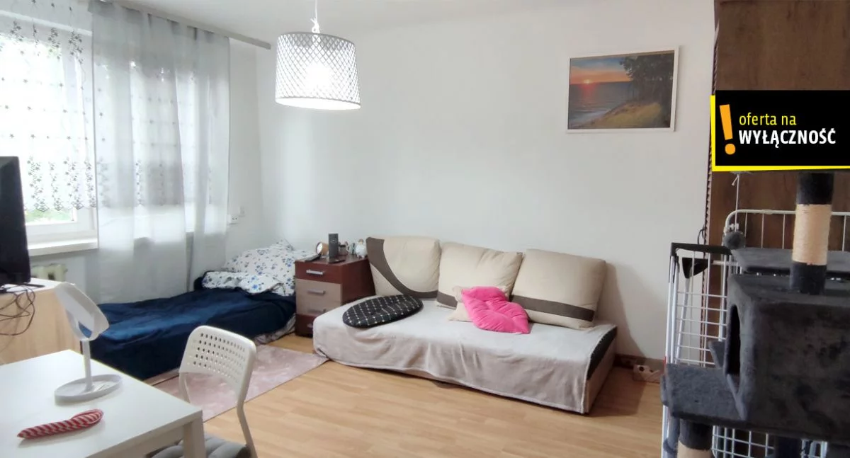 GH575341 - zdjęcie nr 3