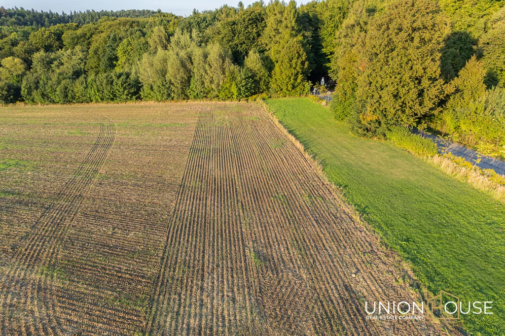 Działka 4 331,00 m², oferta nr , 36/12320/OGS, Czajowice