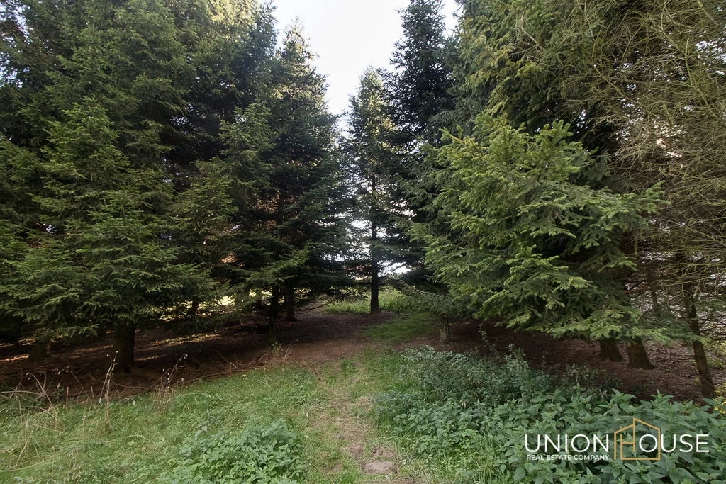 Działka 1 207,00 m², oferta nr , 37/12320/OGS, Szczodrkowice