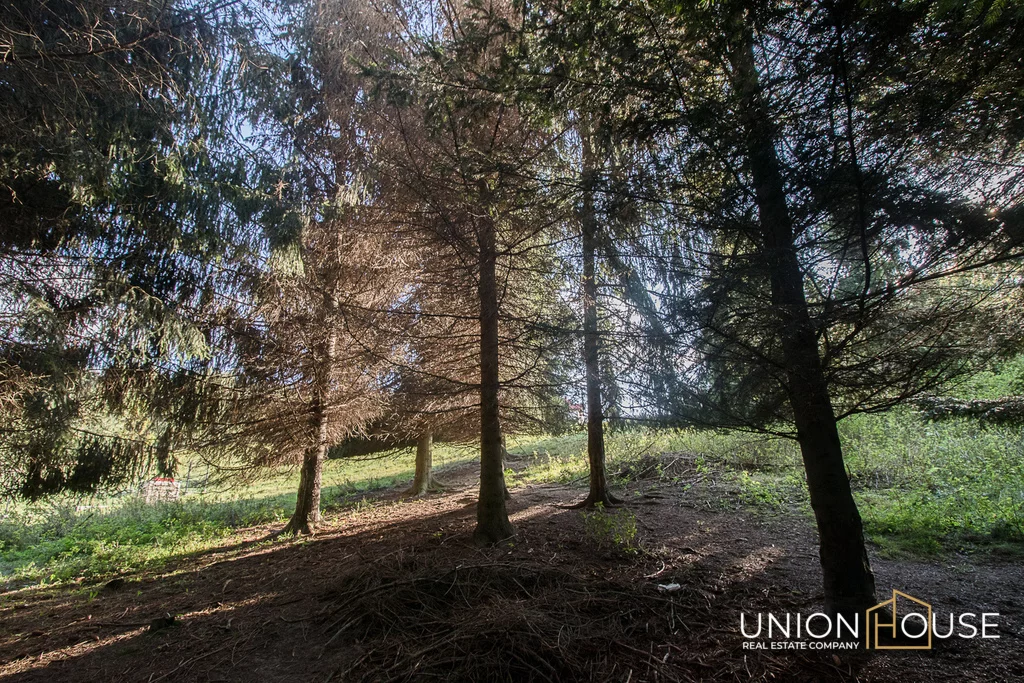 Działka 1 207,00 m², oferta nr , 37/12320/OGS, Szczodrkowice