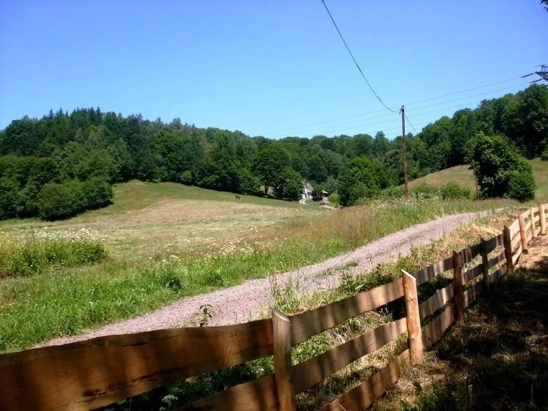 Dom 810,00 m², oferta nr , 105/14328/ODS, Olszyniec