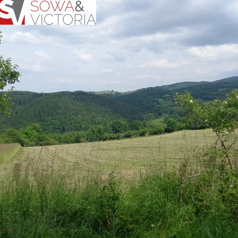 Dom i rezydencja 95,00 m², oferta nr , 414/14328/ODS, Walim